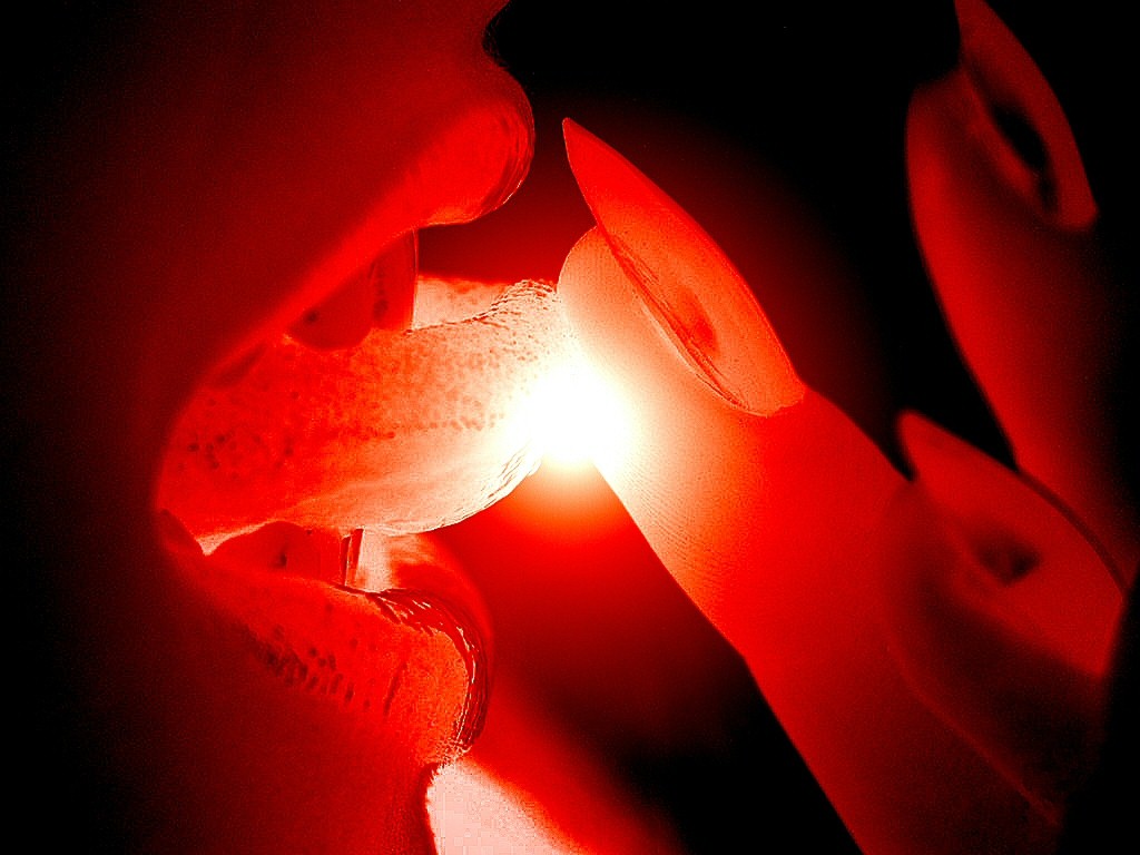 Augen-Blicke: Wallpaper