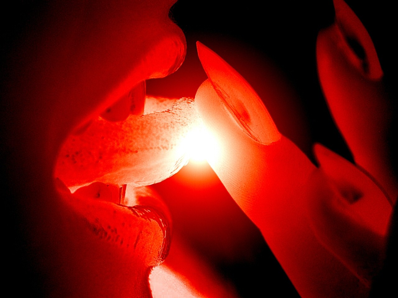 Augen-Blicke: Wallpaper