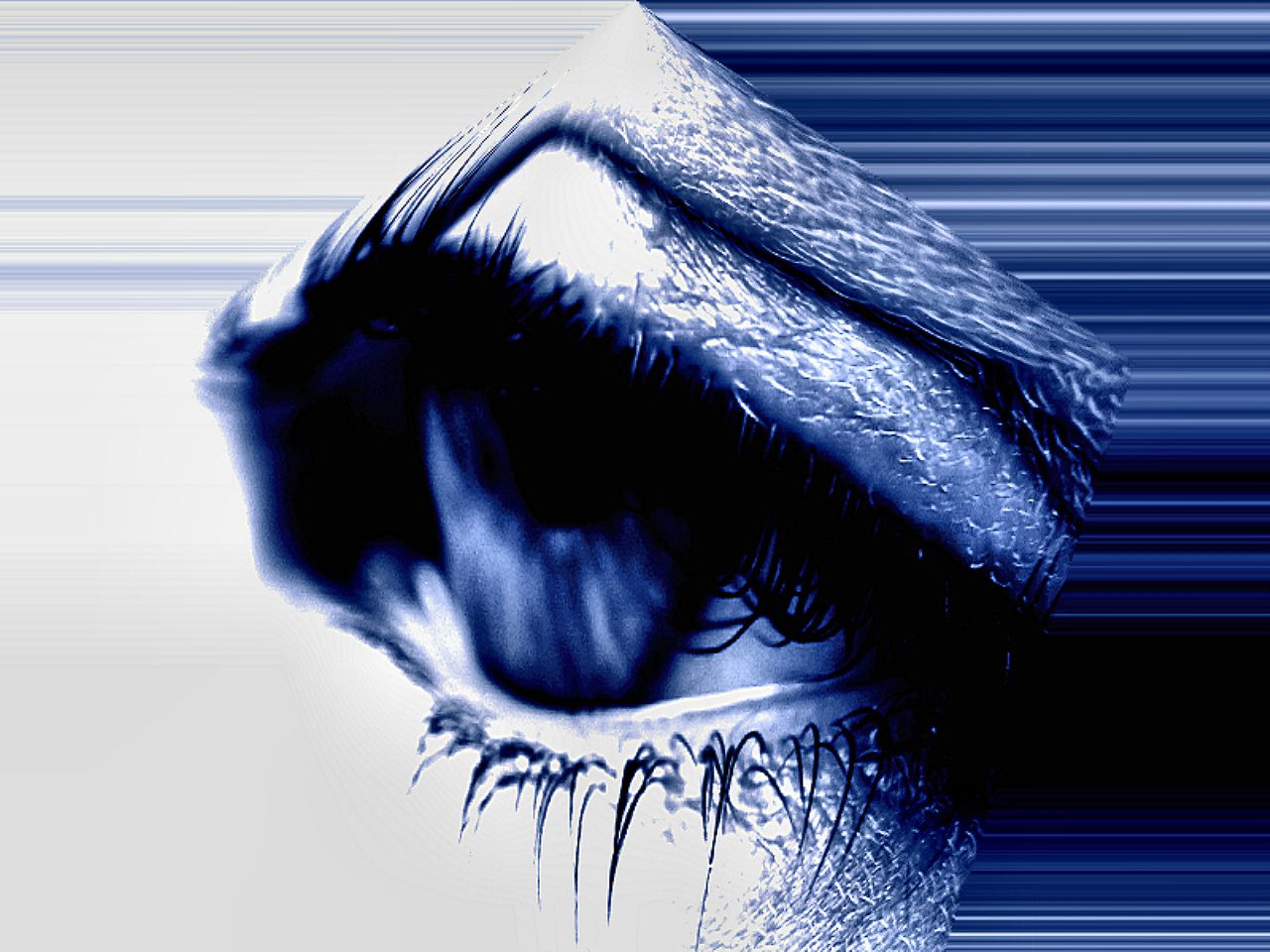 Augen-Blicke: Wallpaper