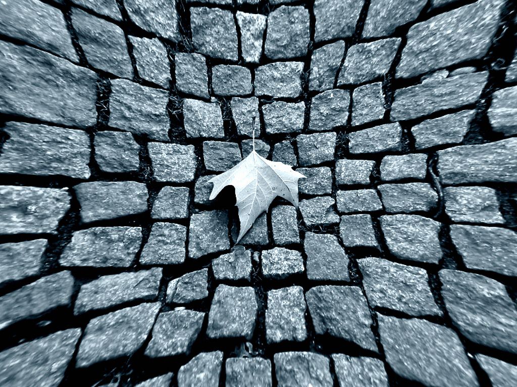 Augen-Blicke: Wallpaper