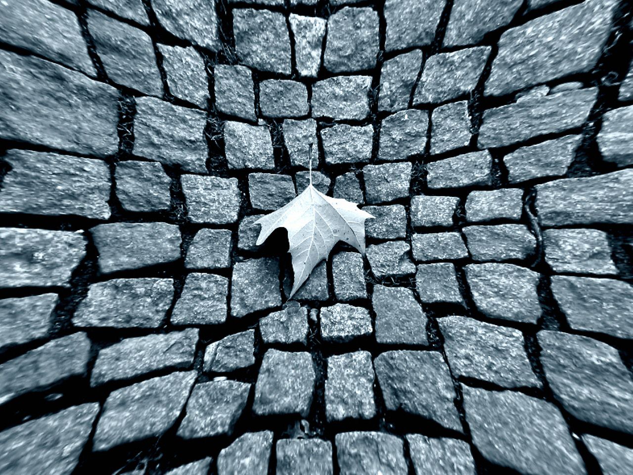 Augen-Blicke: Wallpaper