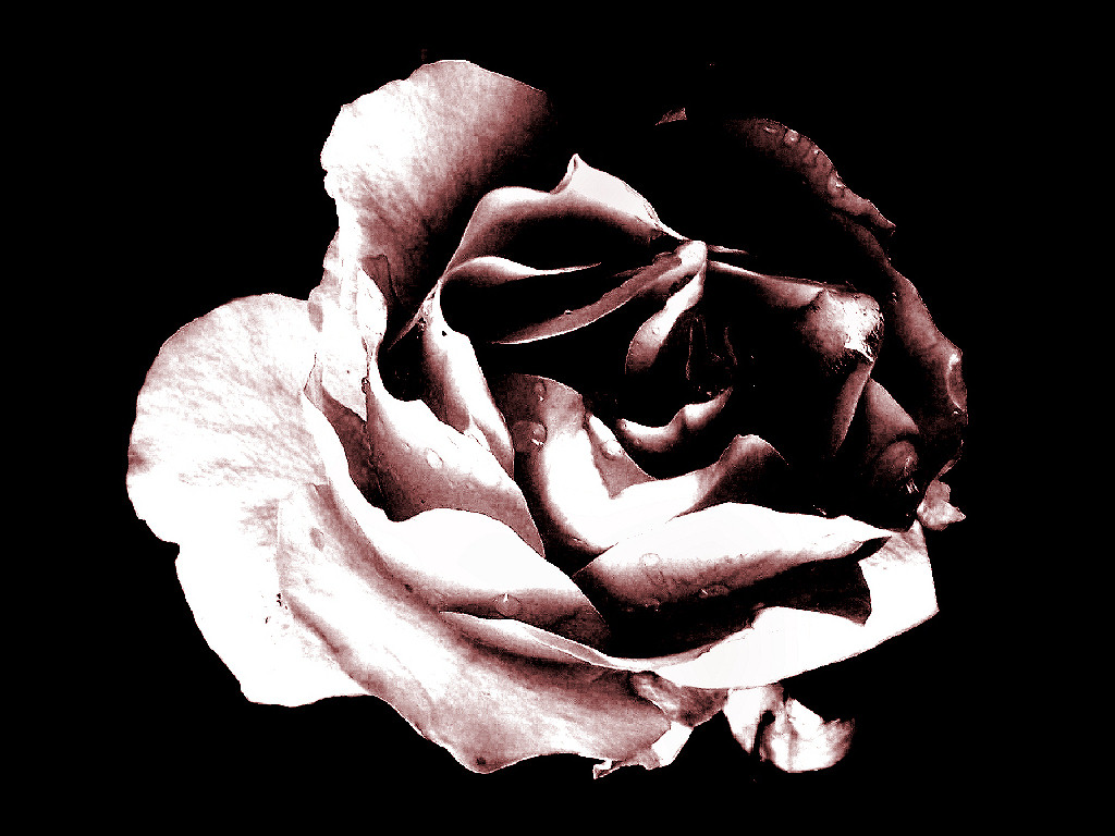 Augen-Blicke: Wallpaper