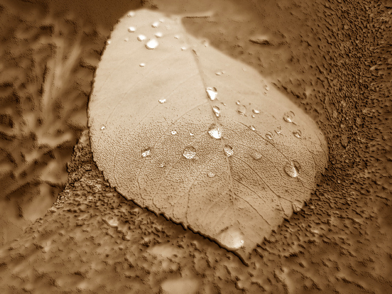 Augen-Blicke: Wallpaper