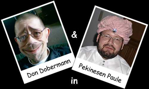 Don Dobermann + Pekinesen Paule in: