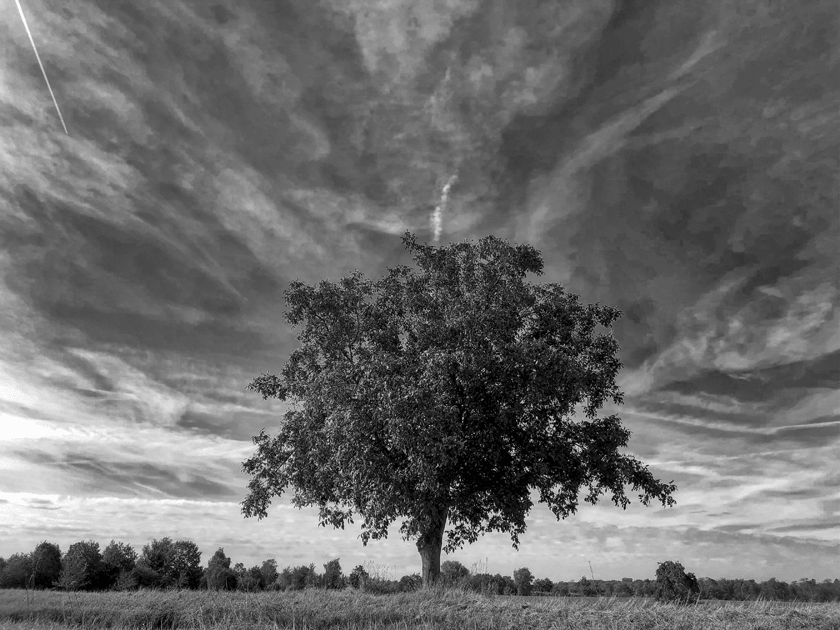 Photo und Bearbeitung: iPhone  ~ Dieses Bild ist von mir lizenziert unter einer Creative Commons Namensnennung – Nicht-kommerziell – Weitergabe unter gleichen Bedingungen 4.0 International Lizenz - Creative Commons BY-NC-SA 4.0